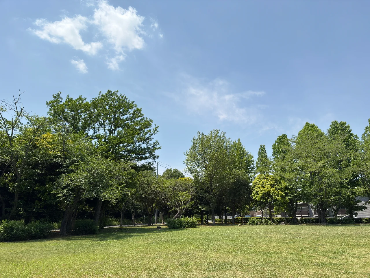 新緑の季節