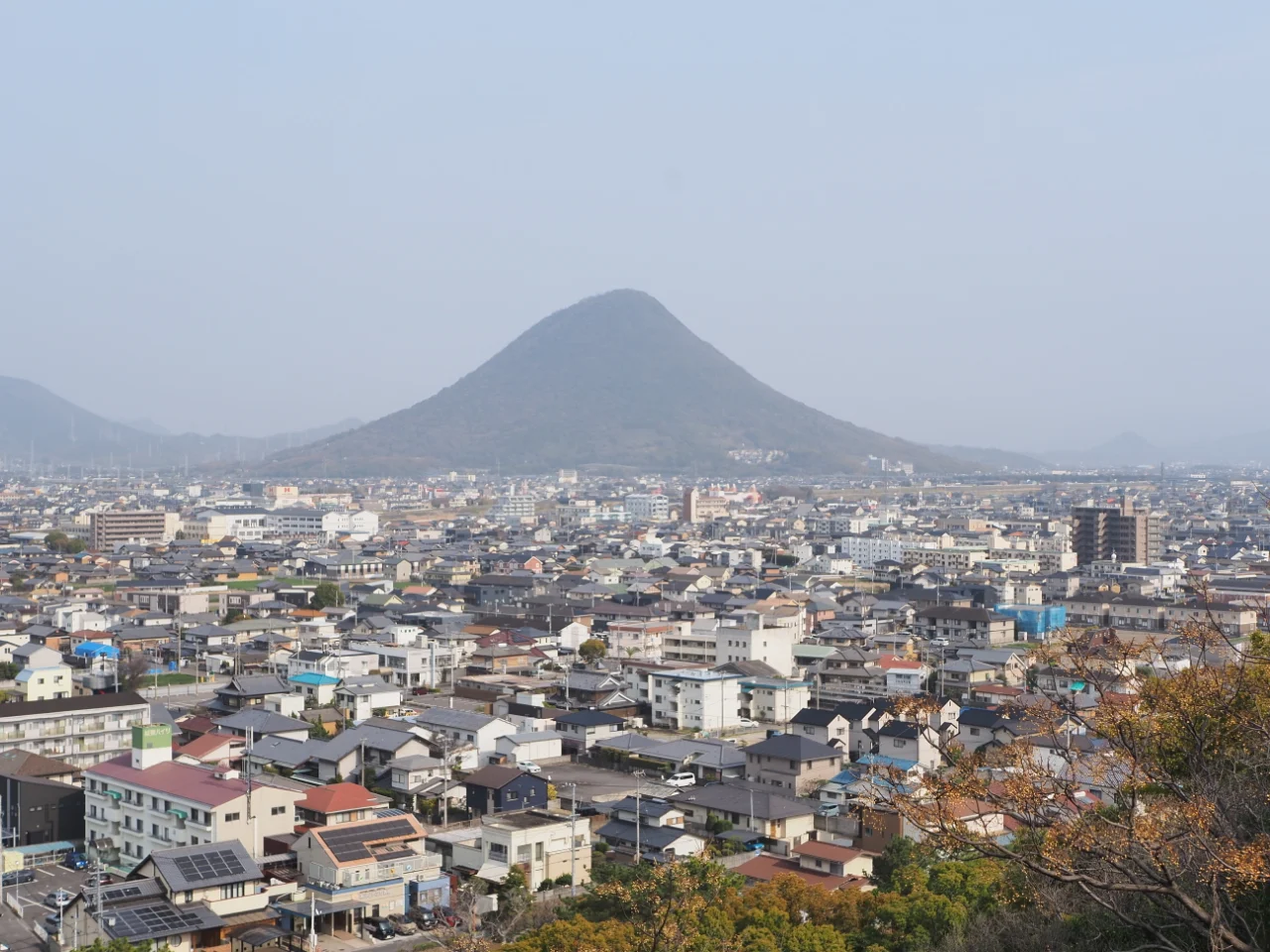 ほぼ正規分布の山